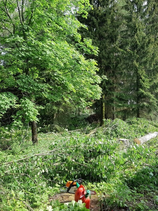 Petri Oksanen – metsuri